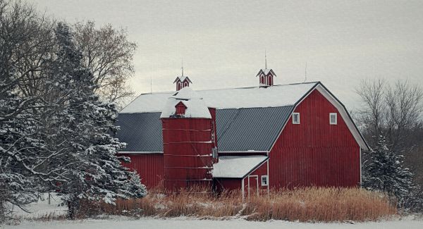 vinter-,ladugård,snö,hus,byggnad,Hem