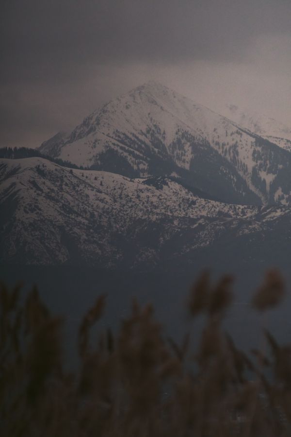 cielo,montagna,la neve,nube,montanaro,pendenza