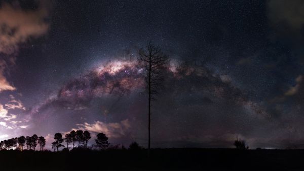 自然,風景,夜,天の川,星,木