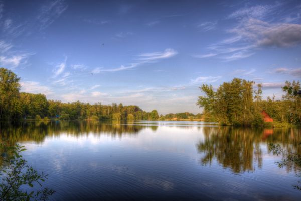 sollys,landskab,Skov,solnedgang,sø,vand