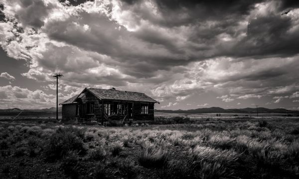 風景,コントラスト,空,モノクロ,放棄された,草