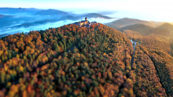 Natur,Wald,fallen,Schloss,Landschaft