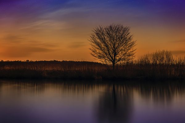 reflexión,naturaleza,agua,puesta de sol,árbol,Photoshop