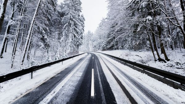 vinter,snø,skog,trær,vei