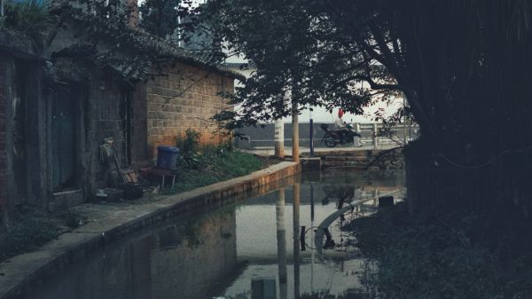 China,apă,oraș,reflecţie,copaci