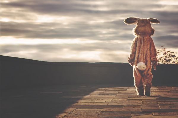 landskab,himmel,natur,sand,bunny trop,ferie