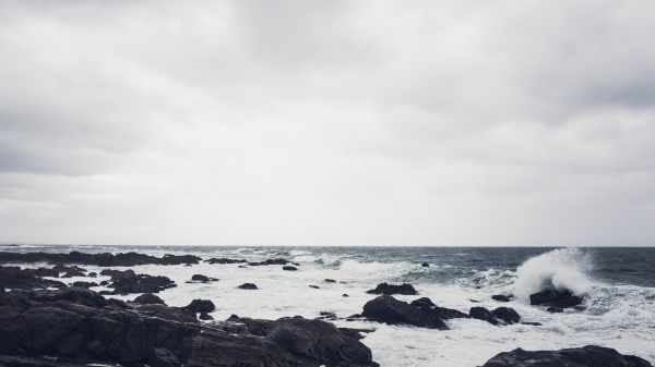 落ち着いた,海,波,海岸,冬