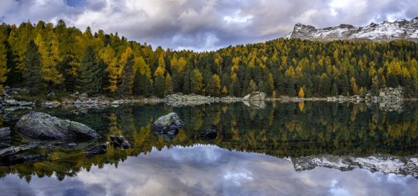 vann,landskap,skog,innsjø,natur,speilbilde