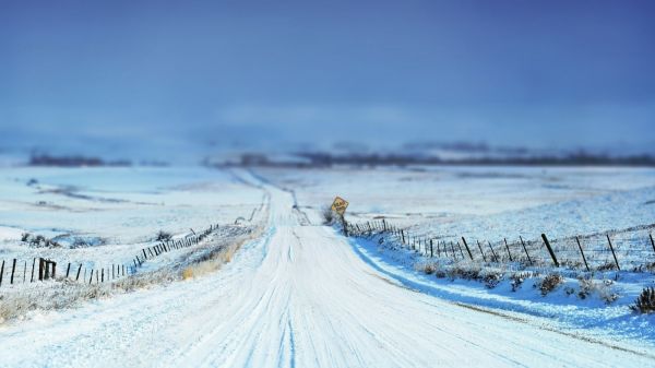 雪,冬季,路,景深,地平线,采取