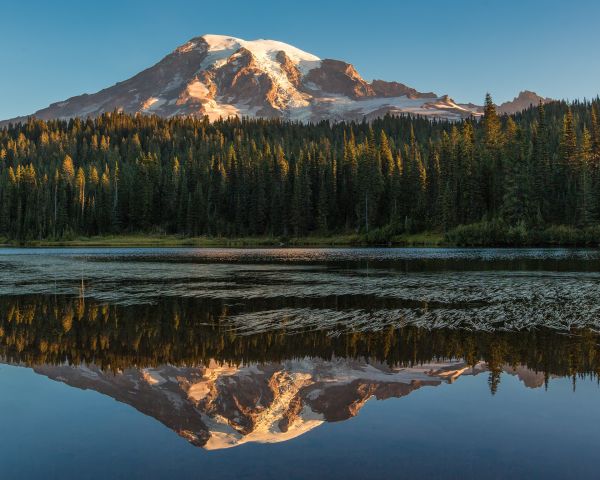 Mountrainier, Mountrainiernationalpark, reflexão, nascer do sol, tripé, reflectionlake