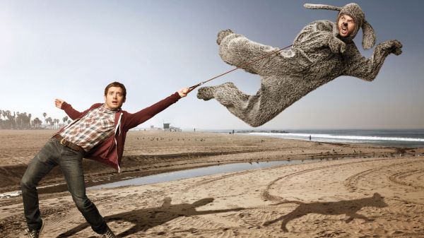 Wilfred,sand,grass,field,flying,spring