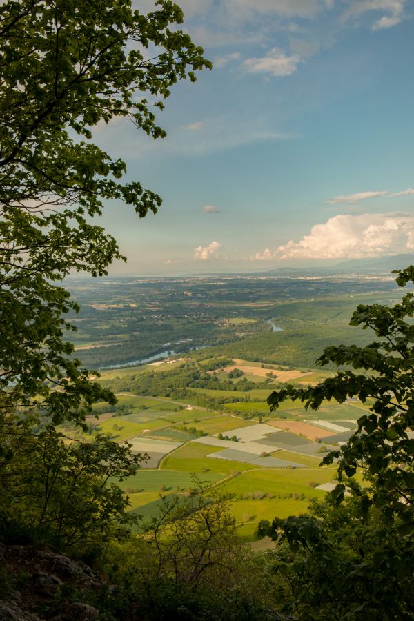 krajina,stromy,zeleň,fotografování,řeka,pole