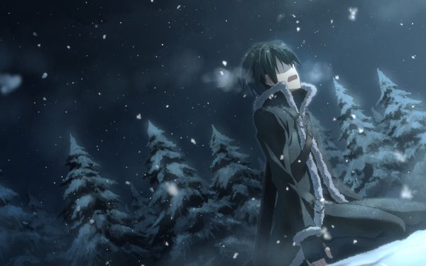 notte, cielo, la neve, inverno, anime, spazio