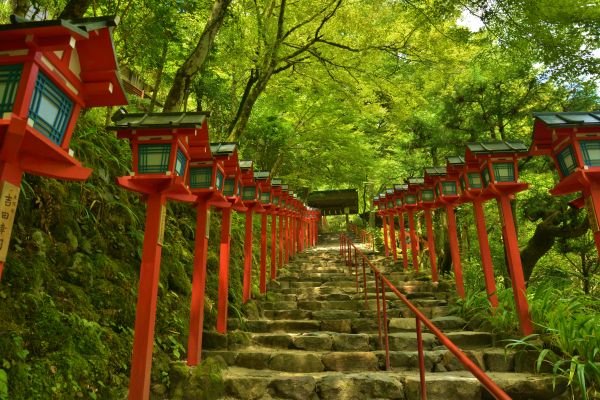 森林, 日本, 寺院, 庭園, パーク, 夏