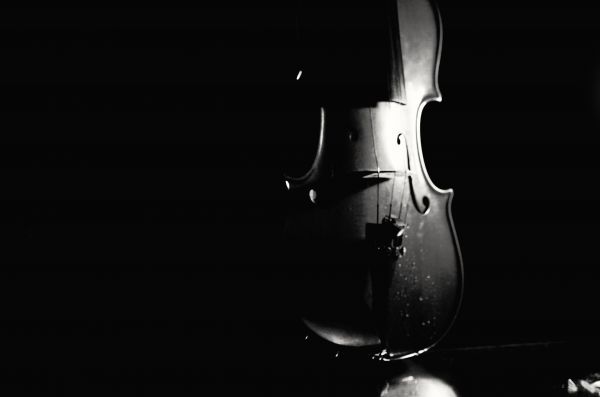 bw,sort hvid,violin,schwarzer,lightsandshadows,blackbackground