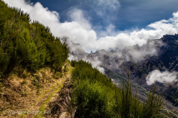 paesaggio,montagne,collina,roccia,natura,foresta