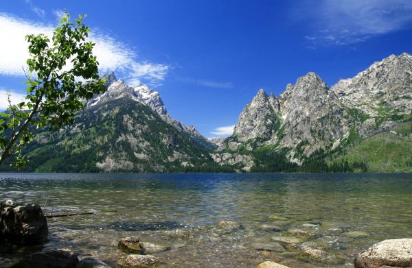 paysage,mer,Lac,Roche,la nature,baie