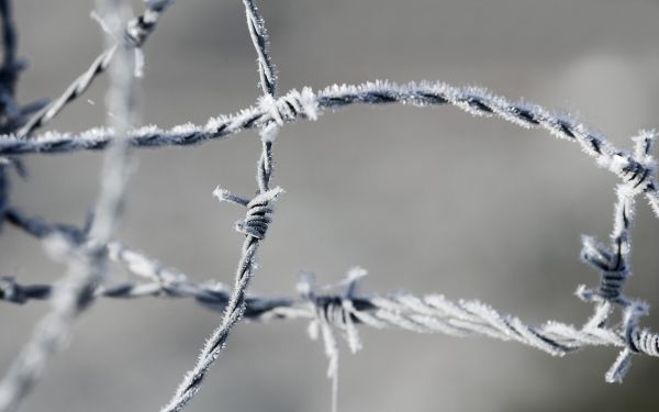 Stacheldraht,Frost,Metall