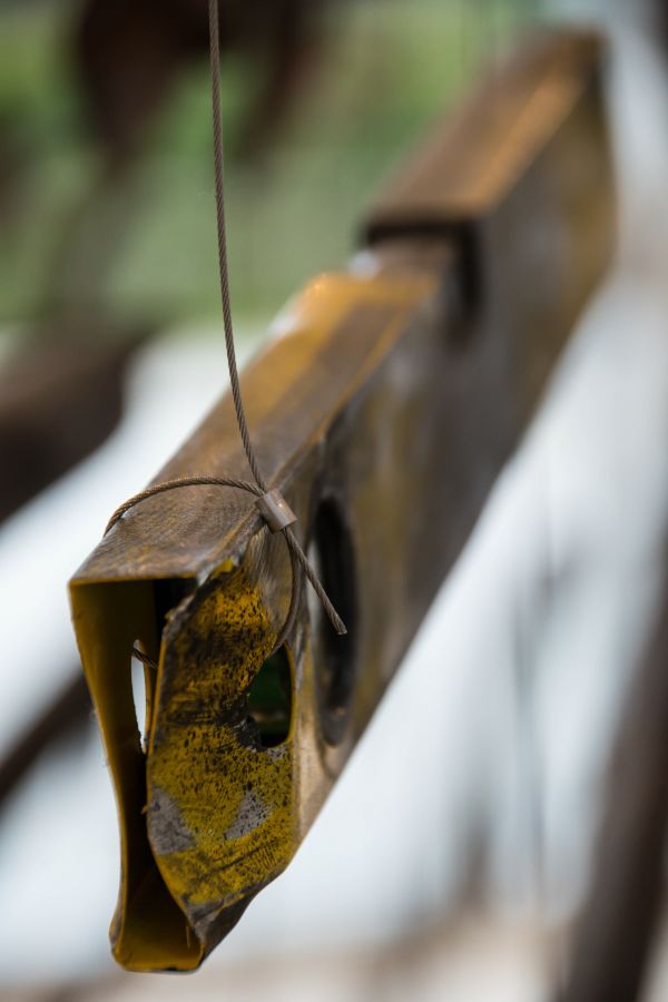 la photographie,fermer,papillon,insecte,vert,jaune