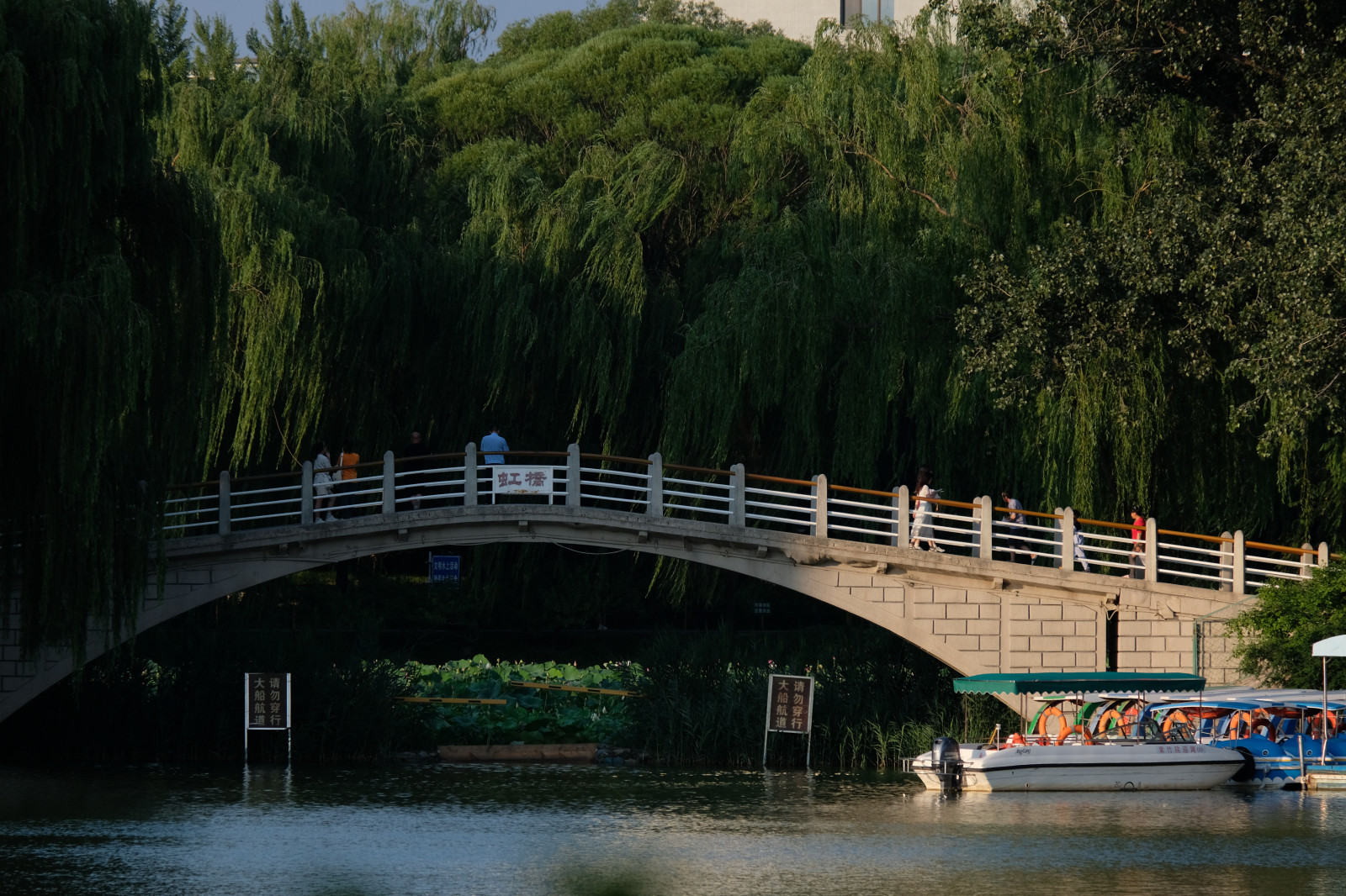 Pekin, Rowboat, park