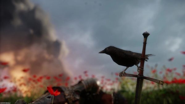 video games,morning,Kingdom Come Deliverance,bird,nature,flower