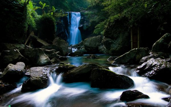 pemandangan, hutan, air terjun, air, batu, alam