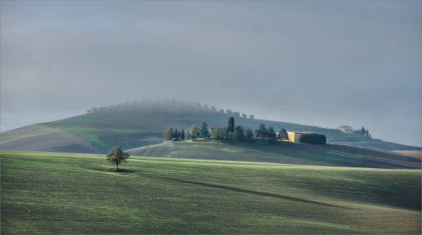 krajina,kopec,Příroda,pole,ráno,mlha