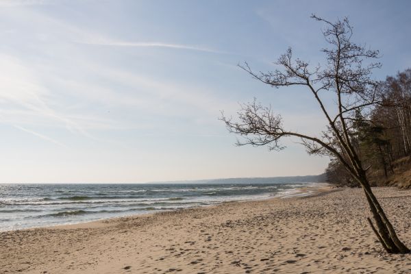 Sonnenlicht,Meer,Ufer,Sand,Himmel,Strand