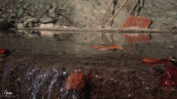 4160x2336 px,Cosmos kukka,falling Water,ruoho,luonto,arkki