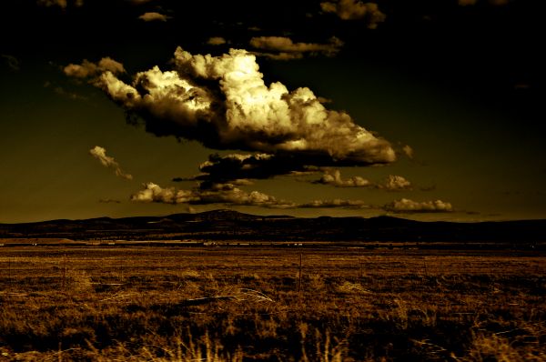 Sonnenuntergang,Sonnenlicht,Landschaft,dunkel,Apokalyptischen,Gras