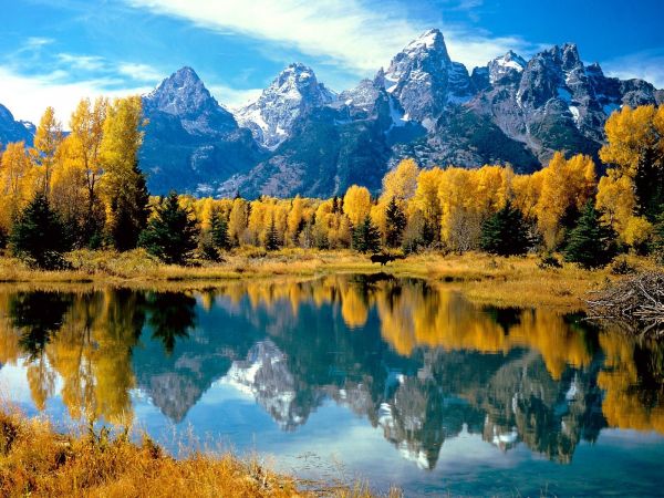 Lac,des arbres,parc national,bois,l'automne,Wyoming