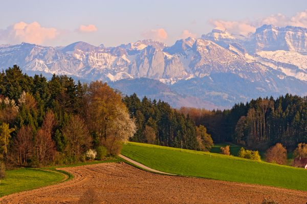 munţi,deal,cer,peisaj,natură,camp