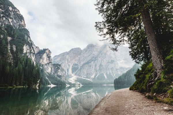 Árvores,Itália,lago,agua,natureza,neve