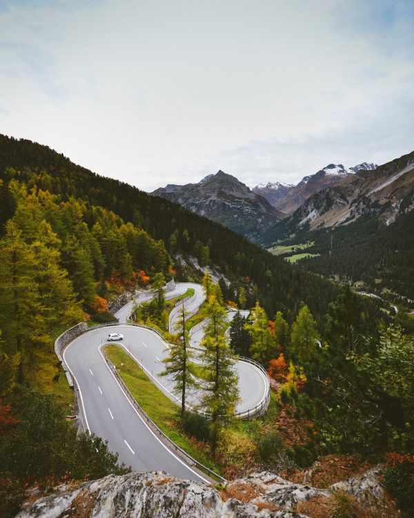 hairpin turn,vei,fjellene