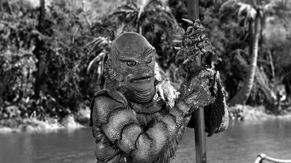 film,foto di scena,Creature from the Black Lagoon,acqua,creatura,The Gill man