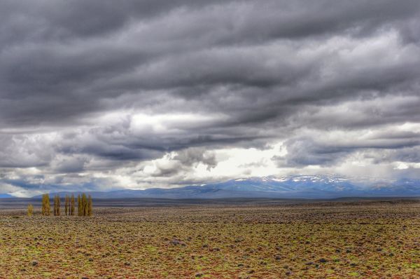 luz de sol,paisaje,contraste,colina,naturaleza,césped