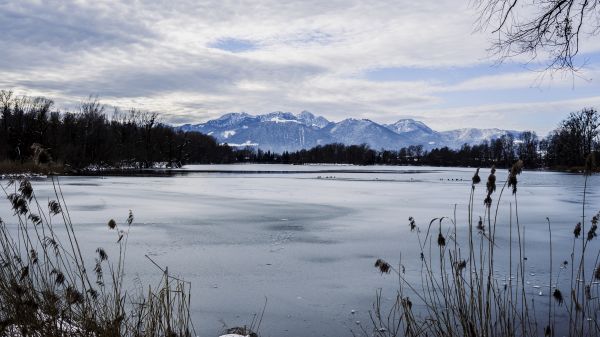 luonto,lumi,talvi-,järvi,jäällä,maisema