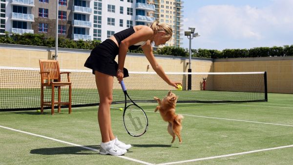 Deportes,tenis,mujer,Animales,pista de tenis