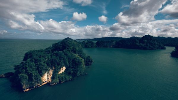 Árboles,mar,bahía,lago,naturaleza,apuntalar