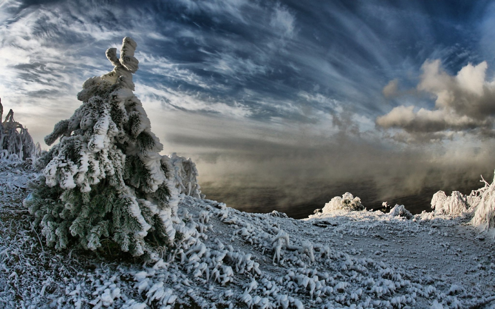 Abeto, neve, peso, céu, nuvens, Escuridão, vapor, inverno