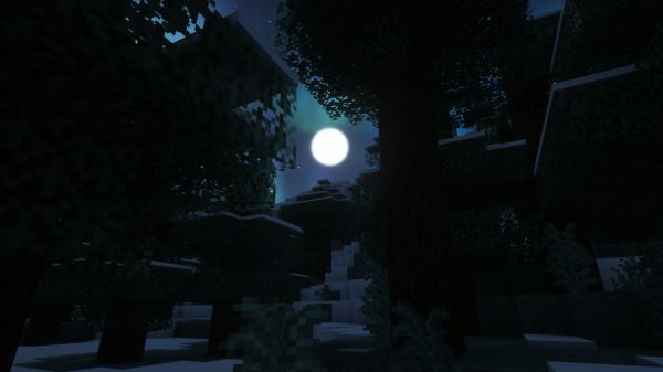 raggi lunari,Minecraft,ComplementaryShaders v4 7 1,foresta,stelle