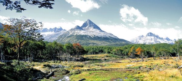 pădure,iarbă,peisaj,2048x917 px,Argentina,pâraie