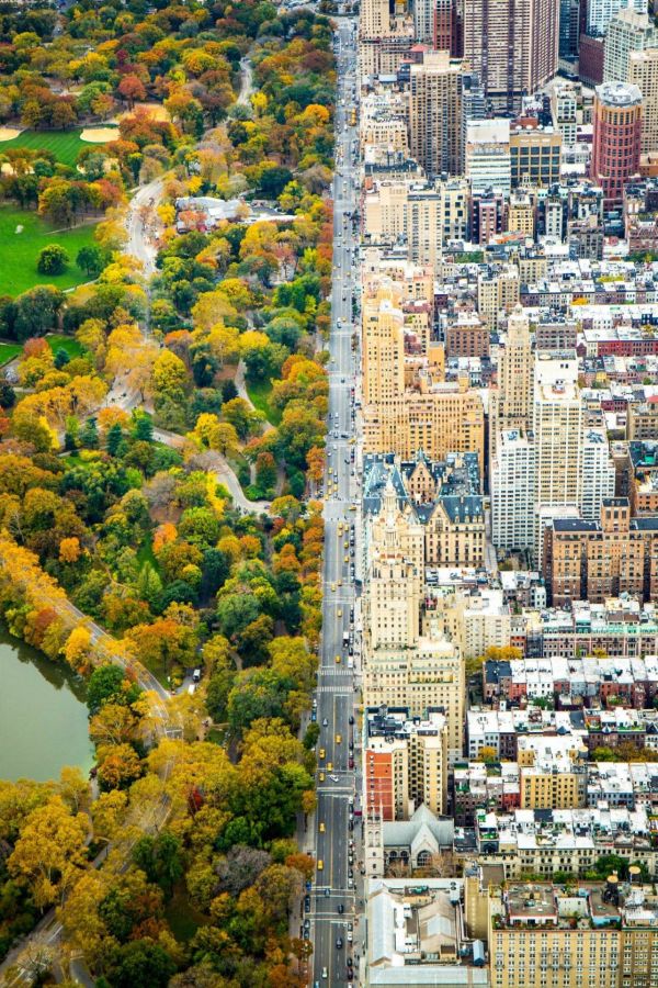 contraste,ville,Paysage urbain,des arbres,tomber,rue