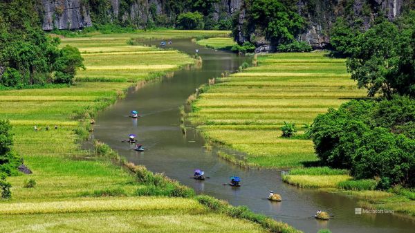 ปลูก,น้ำ,ต้นไม้,สีเขียว,Natural landscape,สภาพแวดล้อมทางธรรมชาติ