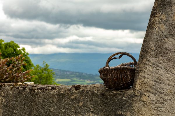 valokuvaus,maisema,Hills,Puut,kasvit,ala