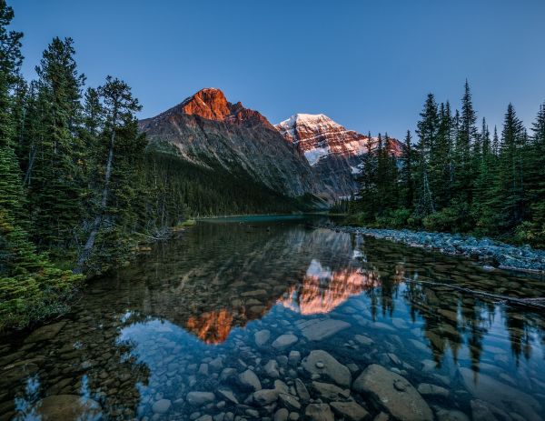 Jasper National Park,landskap,2048x1583 px,Alberta,furutrær