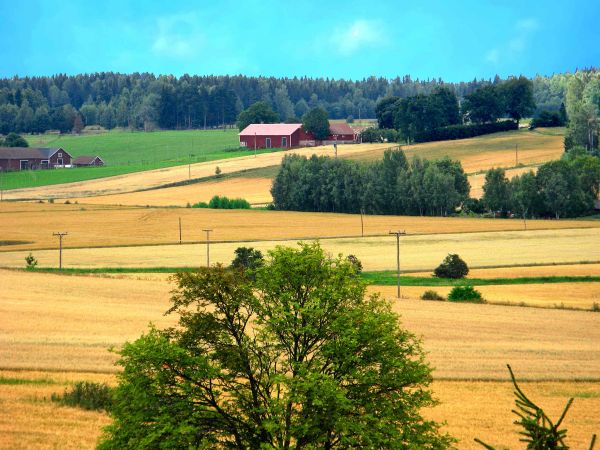 panorama, natureza, grama, floresta, Colina, construção