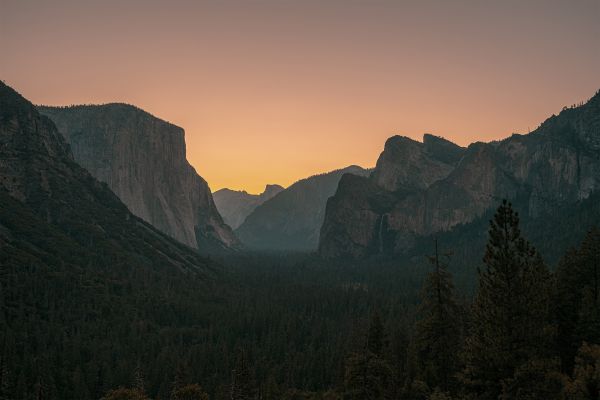 tájkép,erdő,fák,természet,Yosemite Nemzeti Park,USA