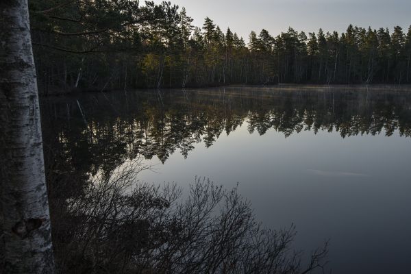 slnečnému žiareniu,krajina,jazero,voda,les,príroda