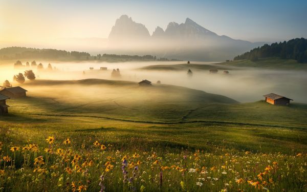 landschap,hemel,natuur,Italië,veld-,mist